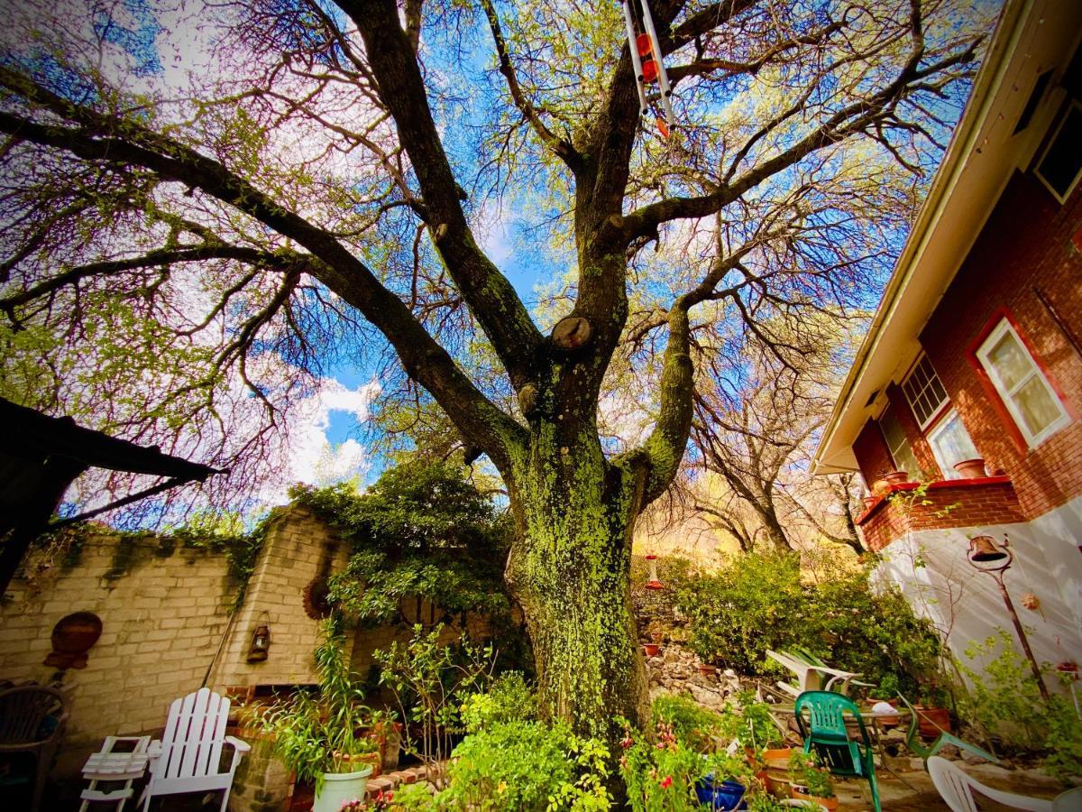 School House Inn Bed&Breakfast Bisbee Exterior foto